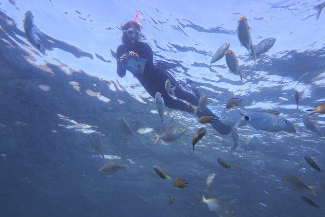 Guided Snorkeling Experience - Who Should Book This Tour?
