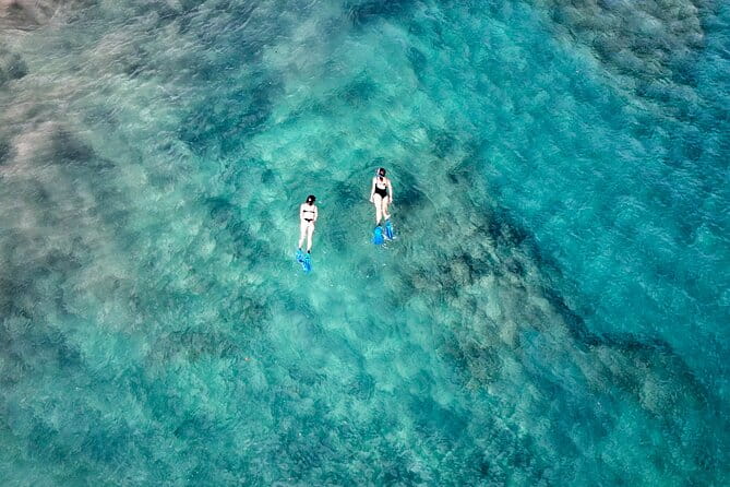 Guided Snorkeling Experience - Final Thoughts