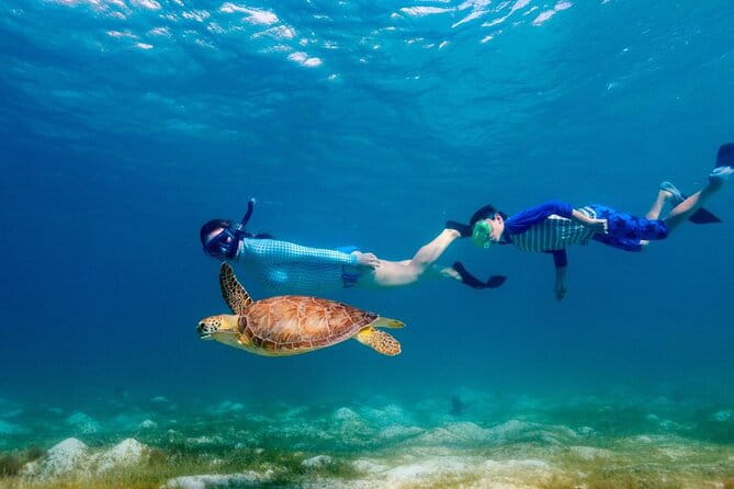Guided snorkeling trip to the turtles in Protaras - FAQ