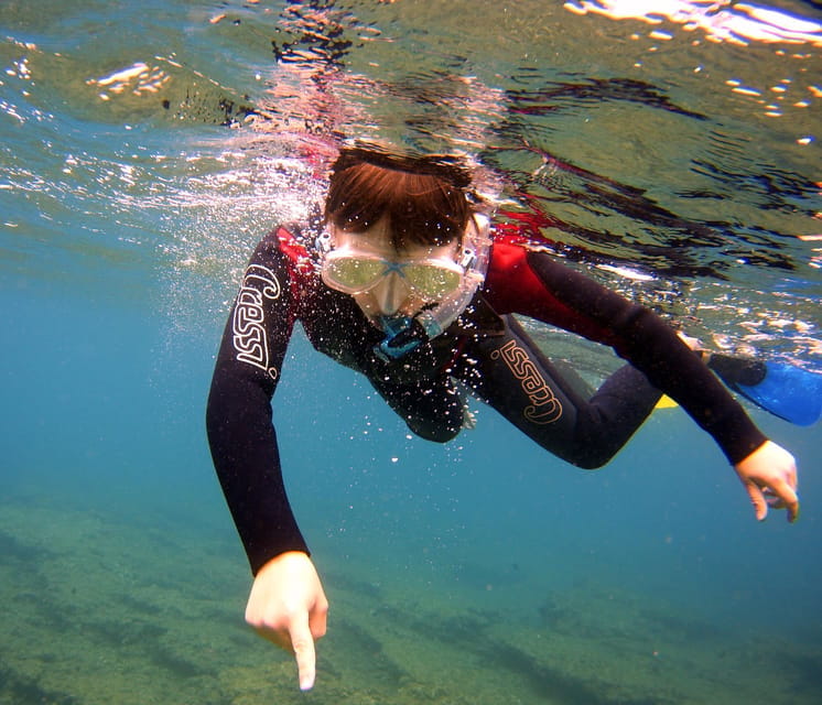 Guided Snorkelling experience in south of Gran Canaria - Is It Worth the Price?