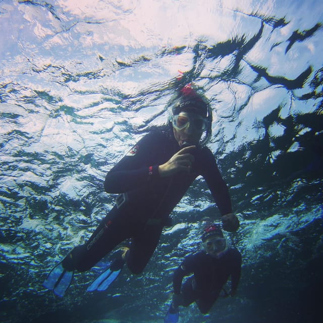 Guided Snorkelling experience in south of Gran Canaria - Who This Tour Is Best For