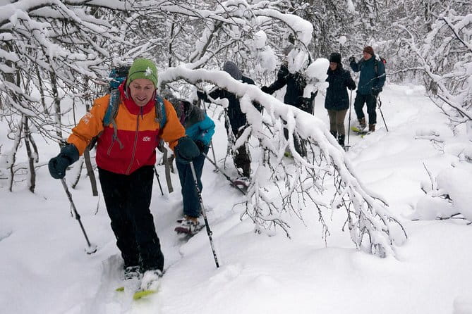Guided Snowshoe Walk on Tromsoya Island in Tromso - Key Points