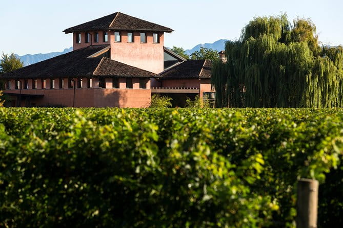 Guided tasting with our team - Entering Friuli-Venezia Giulia’s Wine World