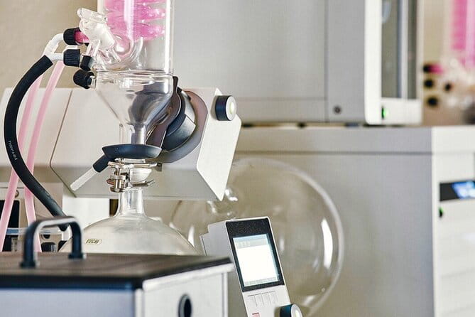 Guided Tour and Tasting at the Distillerie Baccae Paris - Key points / Takeaways