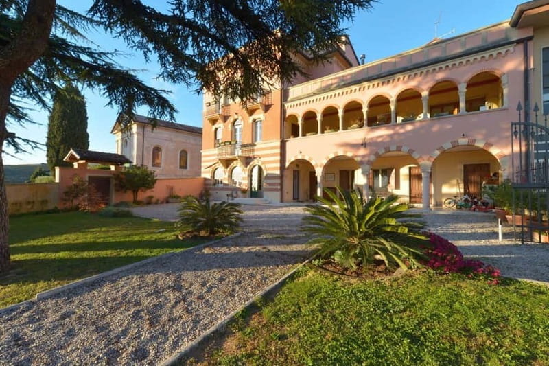 Guided tour and tasting with platter. - Walking Through History and Vineyards