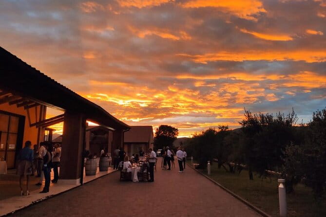 Guided Tour and Wine Tasting in the Sandro De Bruno Winery - Key points / Takeaways