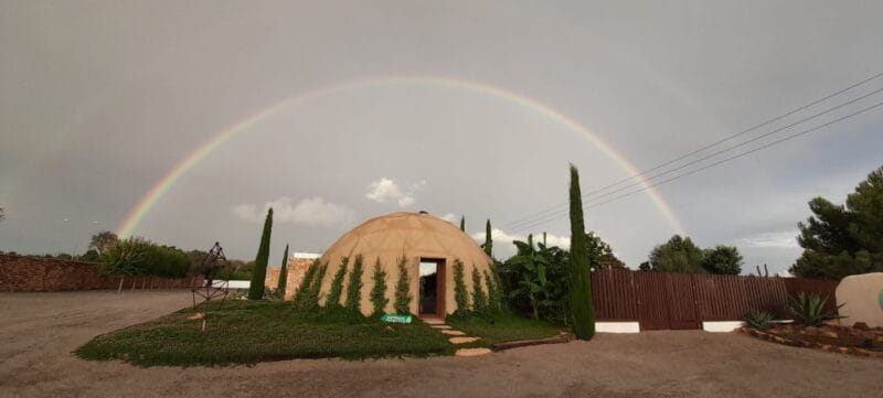 Guided Tour at BiBo Park: Ibiza's Biotech Botanical Garden - The Sum Up