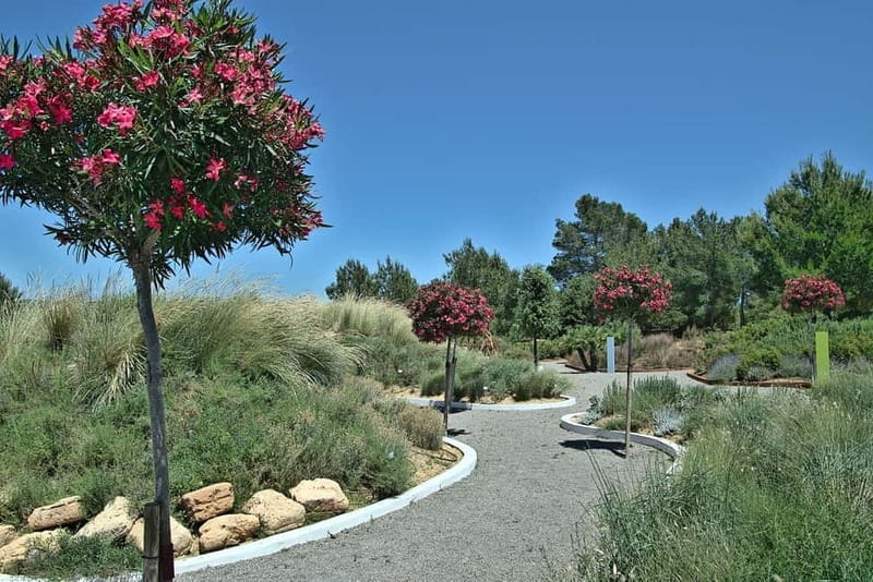 Guided Tour at BiBo Park: Ibiza's Biotech Botanical Garden - FAQ