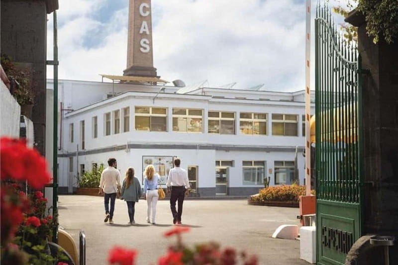 Guided Tour at Ron Arehucas Distillery - Key points / Takeaways