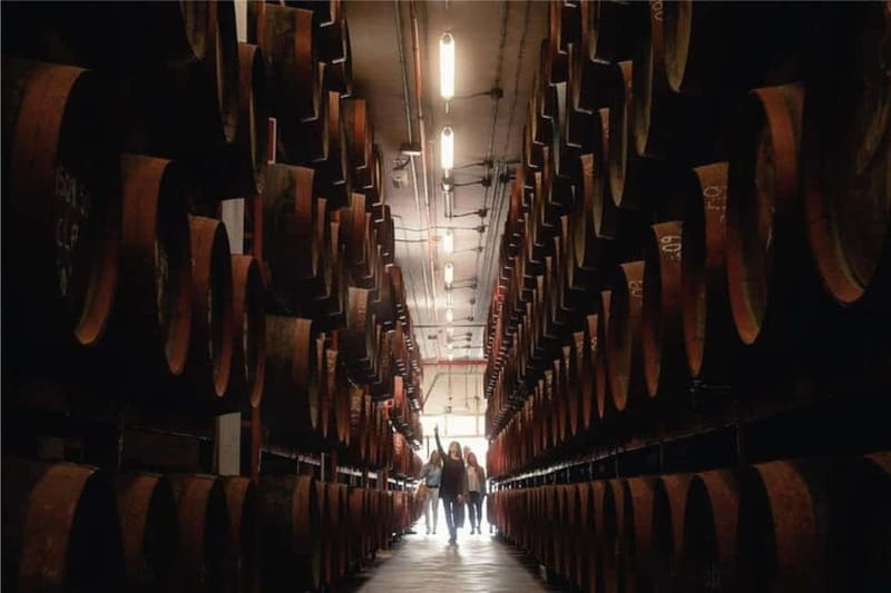 Guided Tour at Ron Arehucas Distillery - The Tasting Experience: Savoring Canary Island Flavors