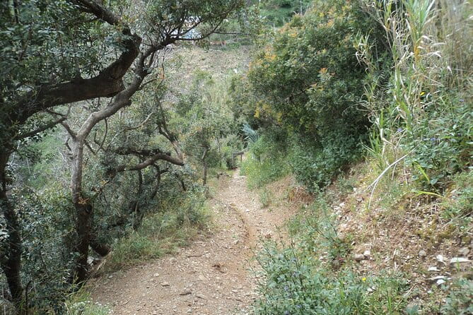 Guided Tour by E-Bike Rio Marina Mining Museum - Frequently Asked Questions