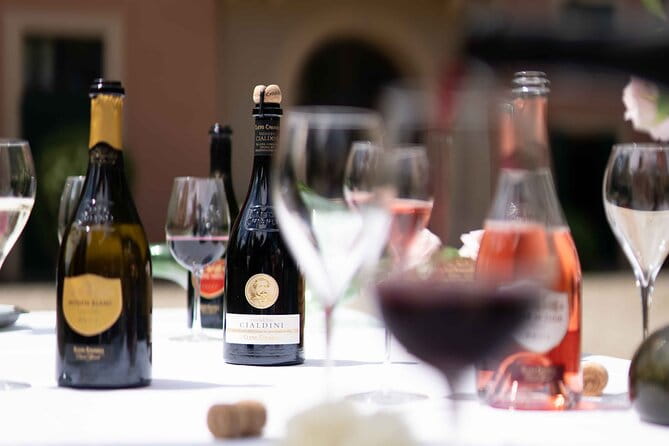 Guided Tour Cleto Chiarli with Lambrusco Tasting - Who Will Love This Tour?
