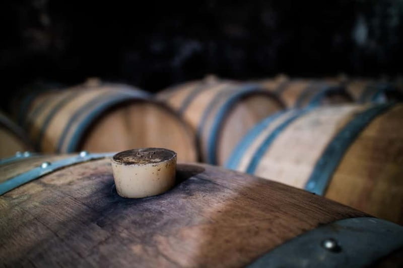 Guided tour from vine to glass - Key Points / Takeaways