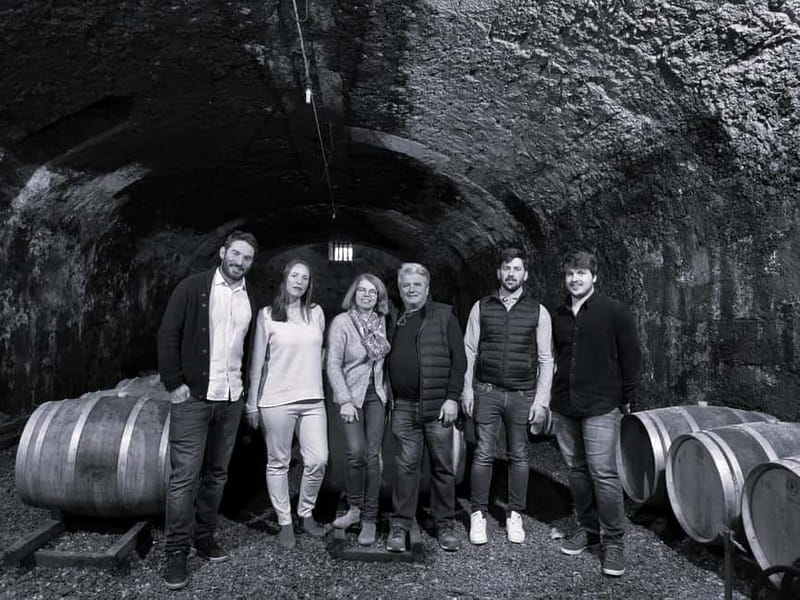 Guided tour from vine to glass - Price and Logistics