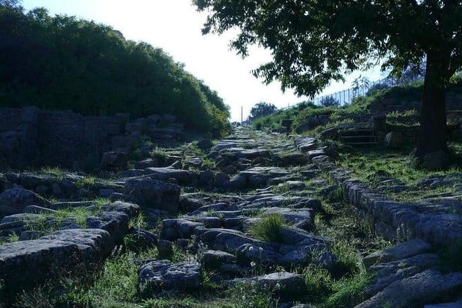 Guided Tour in Morgantina. Visit Morgantina. - Price, Logistics, and Practical Tips