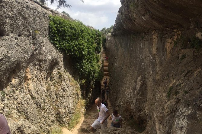 Guided Tour in the Enchanted City - Meeting Point and Start Time