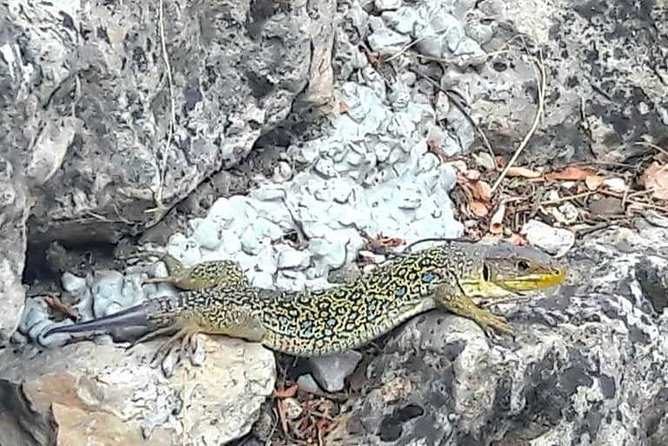 Guided Tour in the Enchanted City - End Point and Tour Duration