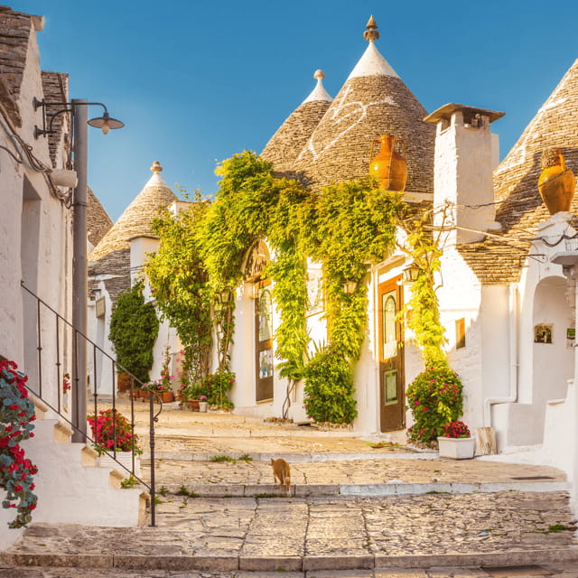 Guided Tour of Alberobello Trulli with Transfer included - Exploring the UNESCO World Heritage Site