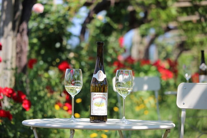 Guided tour of Bodegas Granbazán - A Complete Look at the Bodegas Granbazán Tour