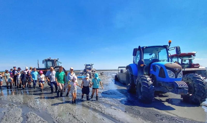 Guided tour of Cancale's oyster beds - Key points / Takeaways