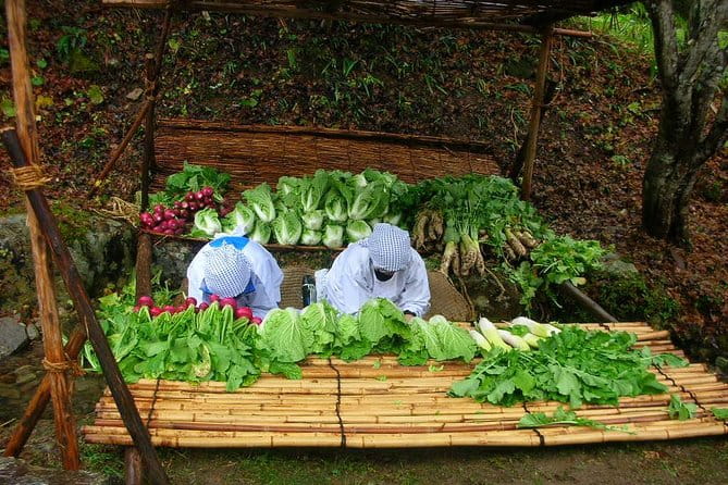 Guided Tour of Hida Folk Village - Seasonal Activities and Crafts