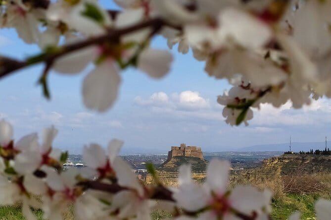 Guided tour of Monzón and the castle 3h. - The Old Town and the Cathedral