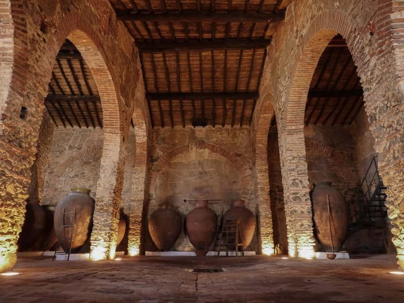 Guided tour of the Cella Vinaria Antiqua Wine Cellar Museum - Key Points / Takeaways