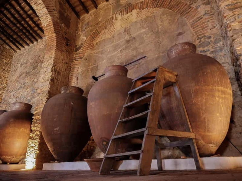 Guided tour of the Cella Vinaria Antiqua Wine Cellar Museum - A Deep Dive into the Itinerary