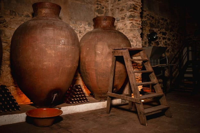 Guided tour of the Cella Vinaria Antiqua Wine Cellar Museum - Price and Logistics: Is It Worth It?