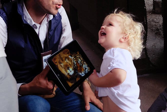 Guided Tour of the Colosseum and Roman Forums for Kids and Families with Marco - Key points / Takeaways