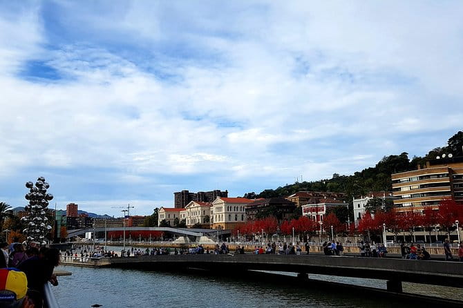 Guided tour of the Guggenheim Museum Bilbao in Spanish - Practical Details: Duration, Price, and Flexibility