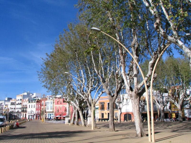 Guided Tour of the Macarena Neighborhood - Craftsmanship and the Plaza de Santa Isabel