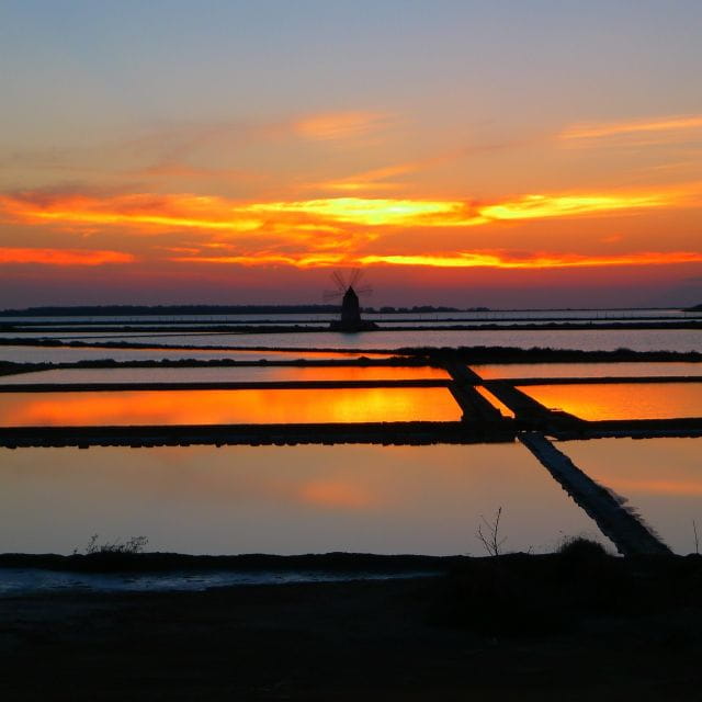Guided tour of the Marsala Salt Pans and salt harvesting - Key points / Takeaways