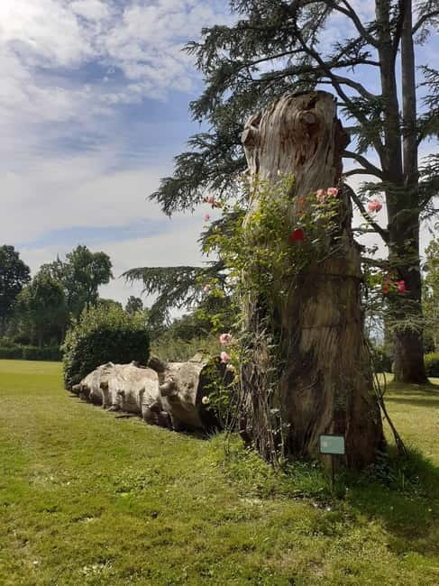 Guided tour of the park of Villa Reale di Marlia - Key Points / Takeaways