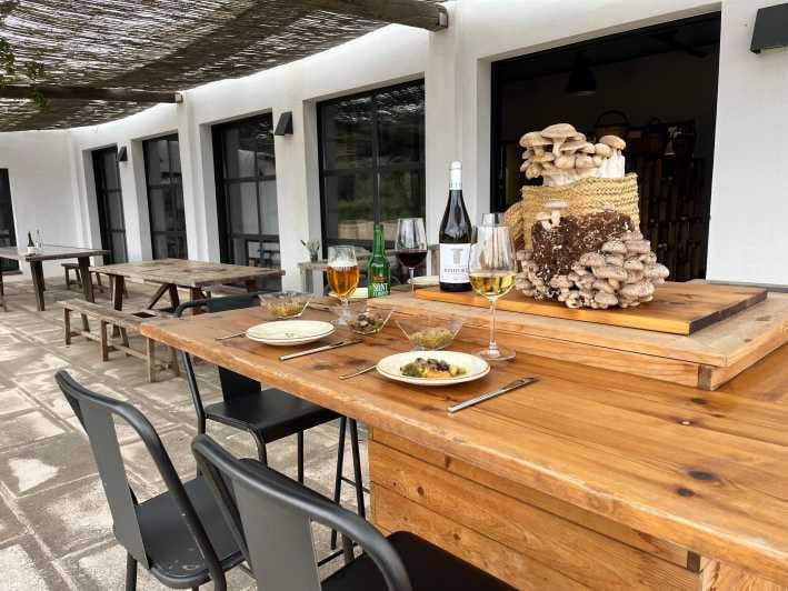 GUIDED TOUR + TASTE IN A MUSHROOM FARM - Exploring Menorca’s Only Mushroom Farm: A Unique and Tasty Adventure