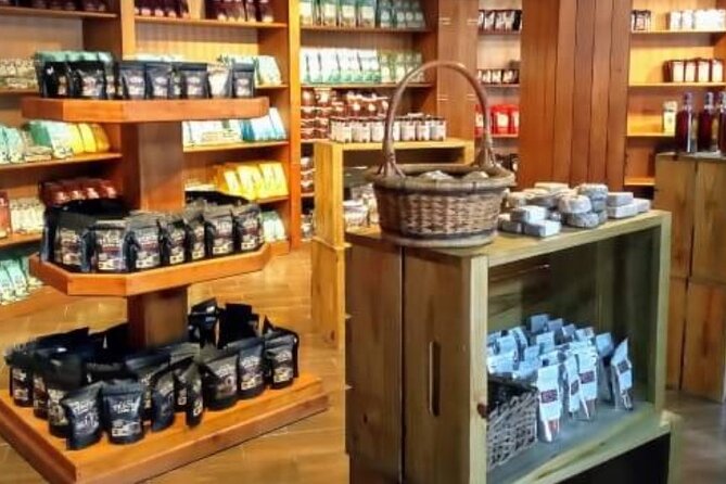 Guided Tour to Don Lucas Cigars Factory and Souvenirs Store - Product Highlights