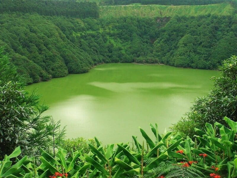 Guided Tour to the green & blue Lake of Sete Cidades - Who This Tour Is Best For