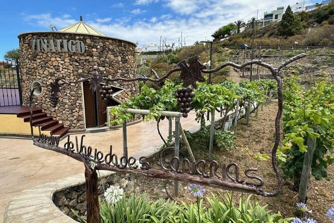 Guided Tour with 6 Wine Tasting - Key Points / Takeaways