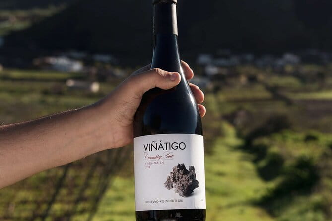 Guided Tour with 6 Wine Tasting - Who Will Love This Tour?