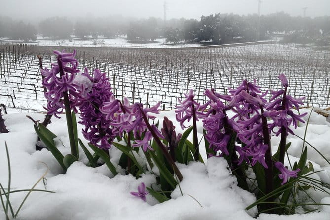 Guided tour with tasting - An In-Depth Look at the Tour Experience