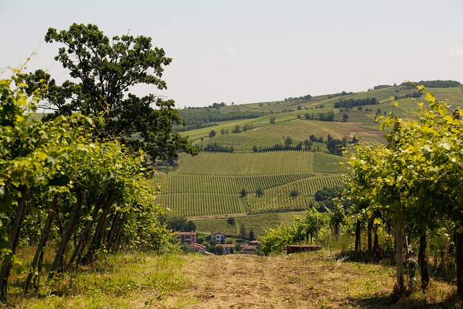 Guided Tour With Tasting - Booking Information