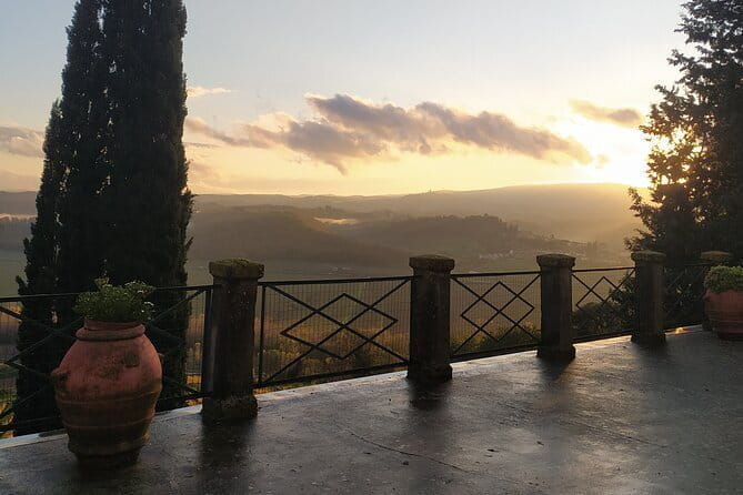 Guided tour with wine tasting and local organic products - A Deep Dive into the Experience