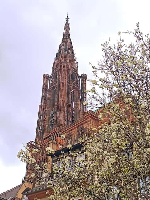 Guided tours of Strasbourg Cathedral - Key points / Takeaways