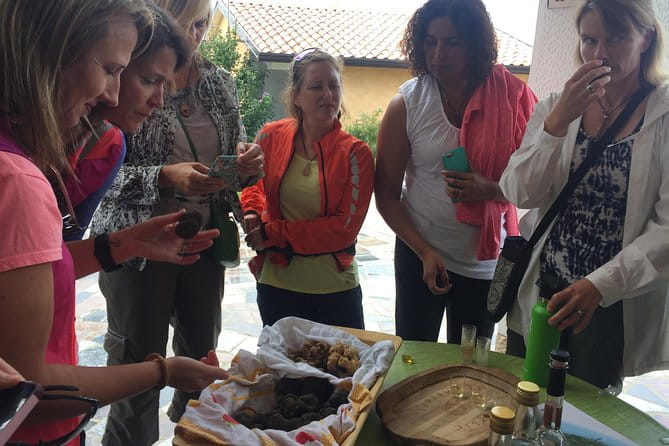 Guided Truffle Hunt Istria - Exploring Hum and Glagolitic Alley