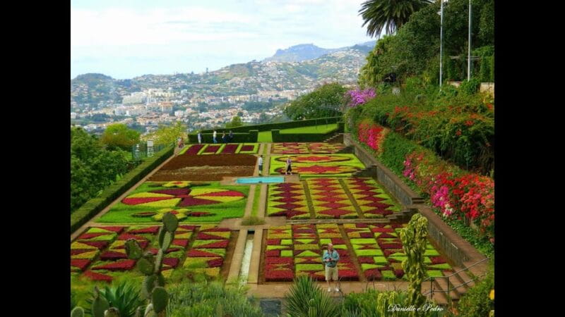 Guided Tuk-Tuk Tour to Botanical Garden (From Funchal) - Making the Most of Your Madeira Tuk-Tuk Adventure