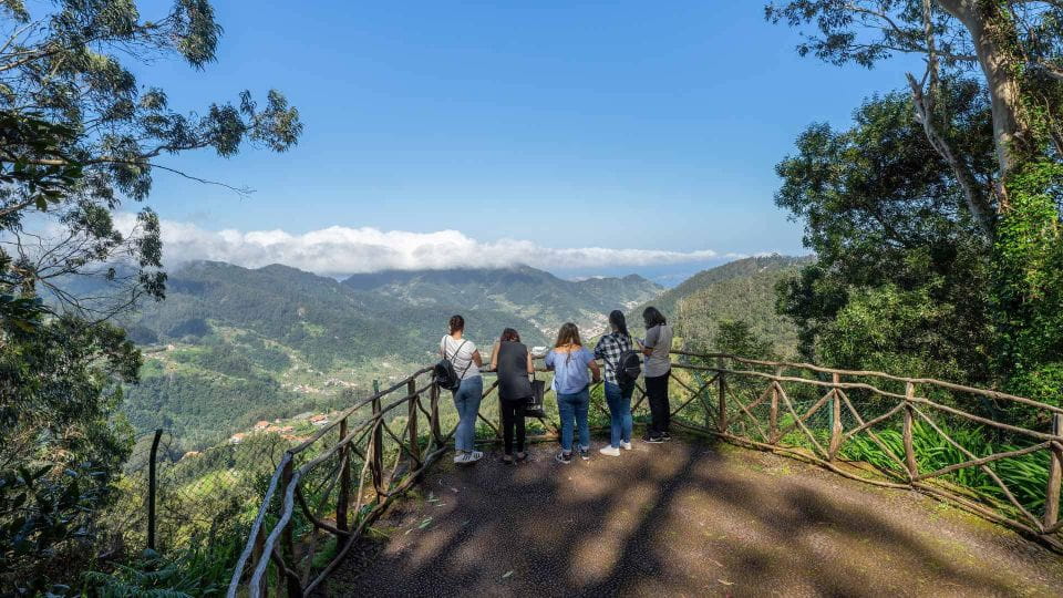 Guided Vespa Tour Through Mountains - Madeira Island - Lunch at Ribeiro Frio