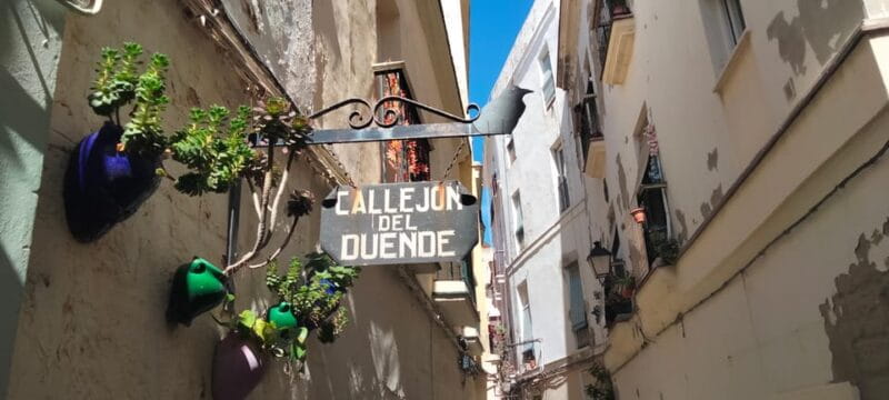 Guided visit on foot through Cádiz: stories from the hand of a local guide - The Sum Up