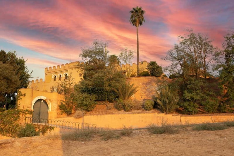 Guided Visit to the Castle of Láchar, Granada - Practical Details: Price, Duration, and Accessibility