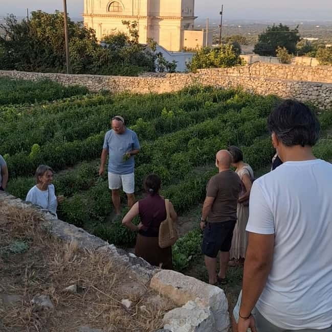Guided visit to the Medieval Gardens of Ostuni - Exploring the Medieval Gardens of Ostuni in Detail