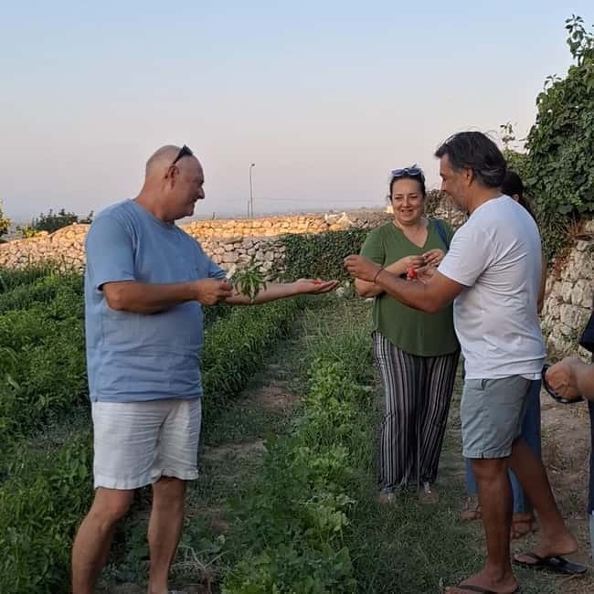 Guided visit to the Medieval Gardens of Ostuni - Final Thoughts: Is It Worth It?